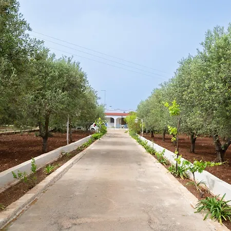 Septis In Villa *